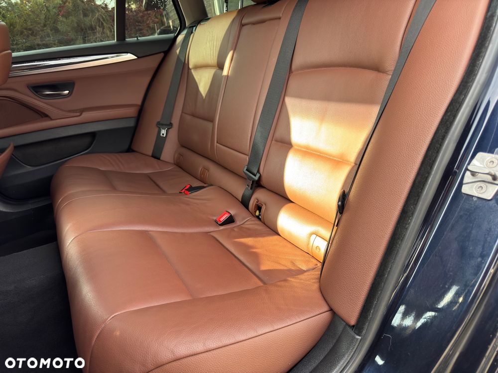 BMW Seria 5 520d Blue Performance - 20