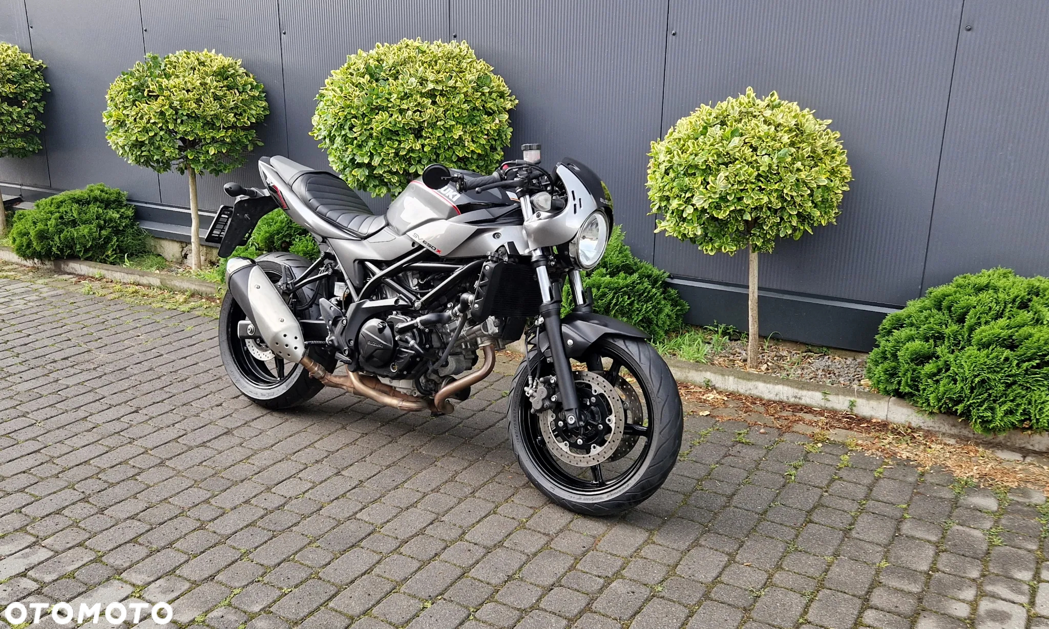 Suzuki SV - 2