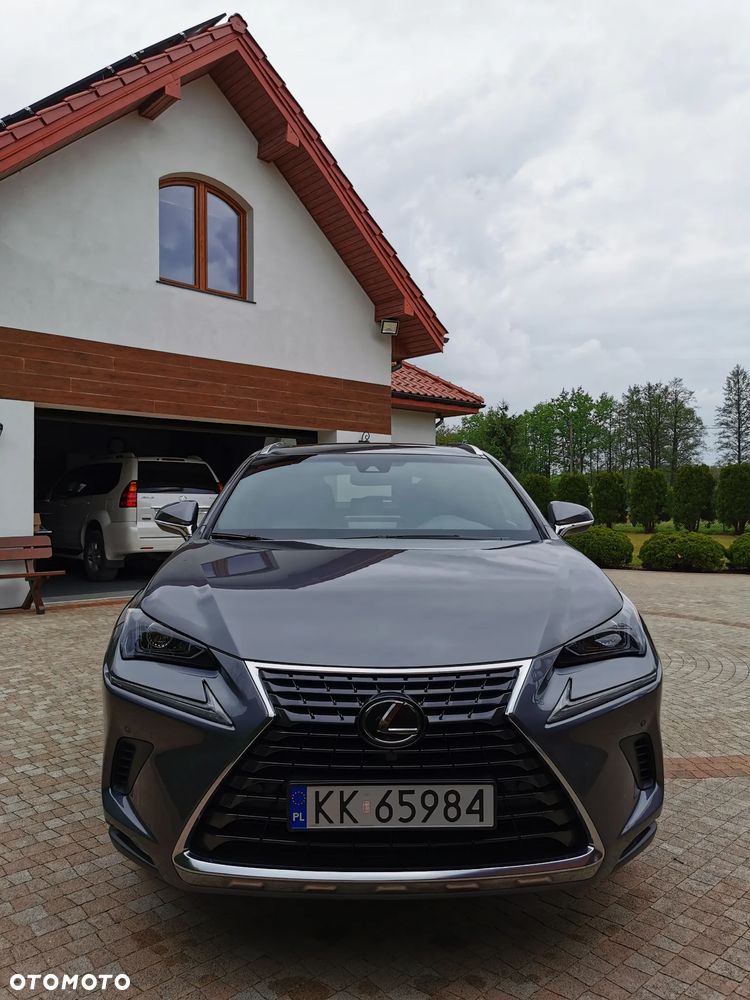 Lexus NX 300 AWD - 2