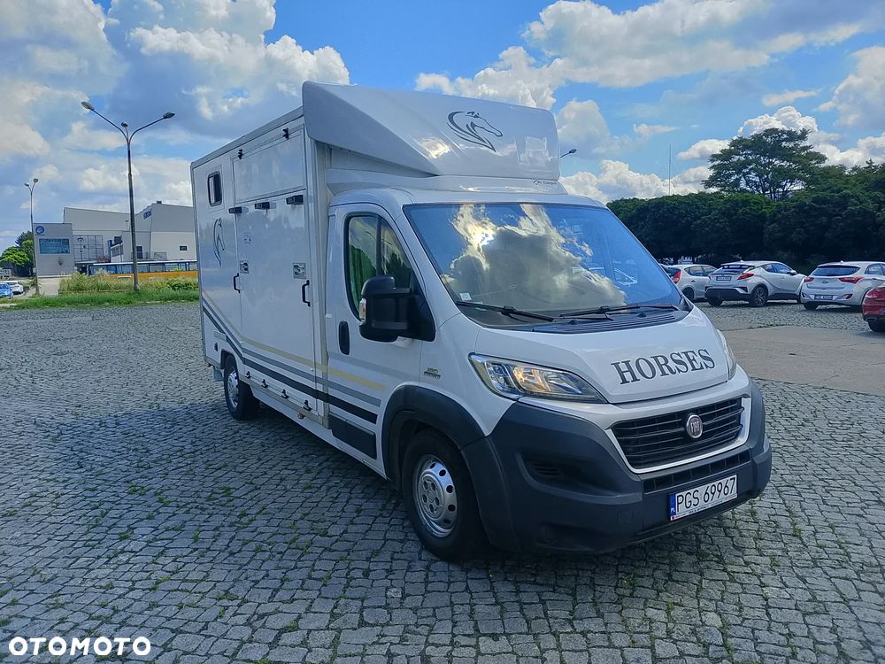 Fiat Ducato Koniowóz - 3