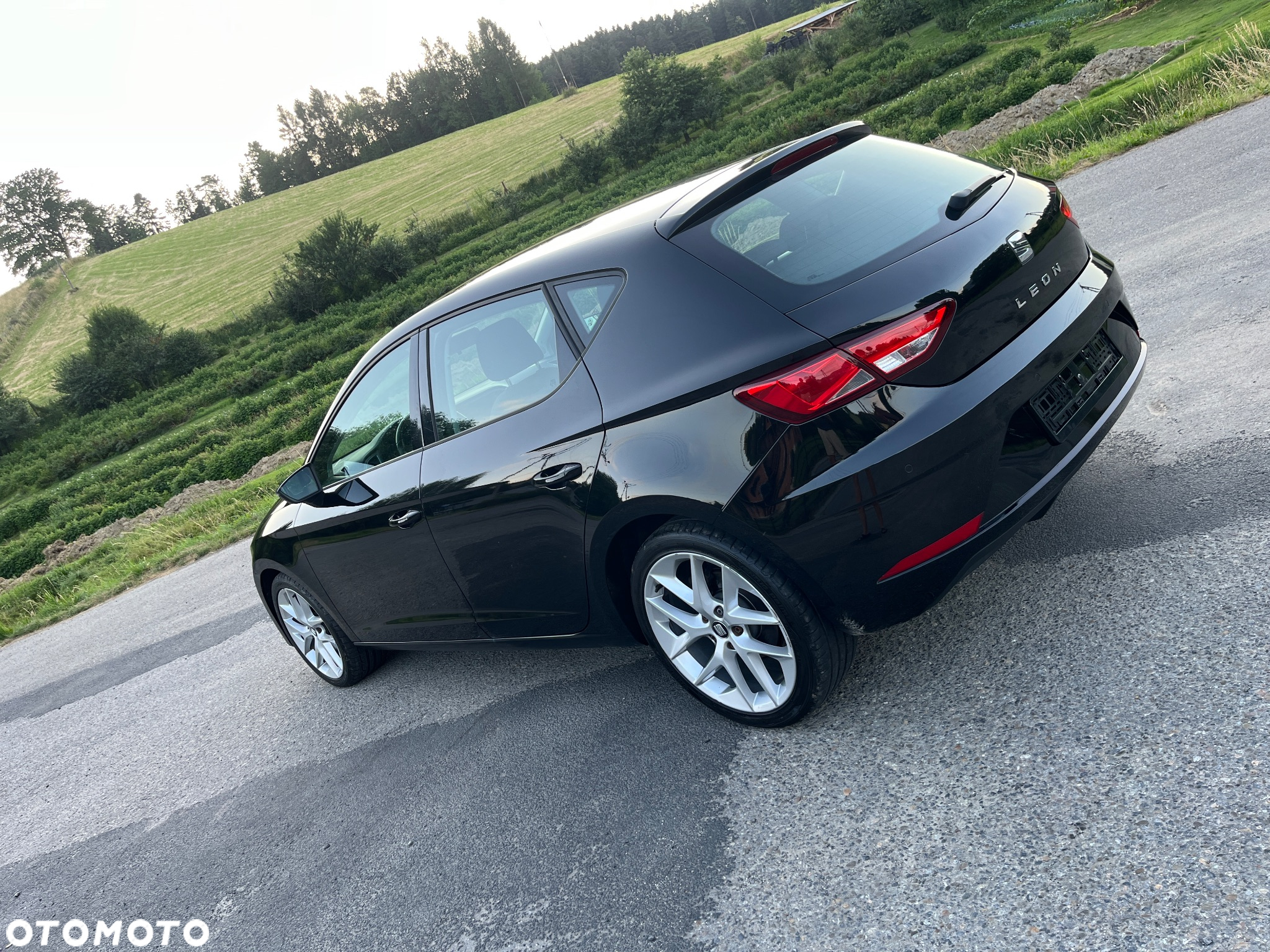 Seat Leon 1.6 TDI DSG Xcellence - 14