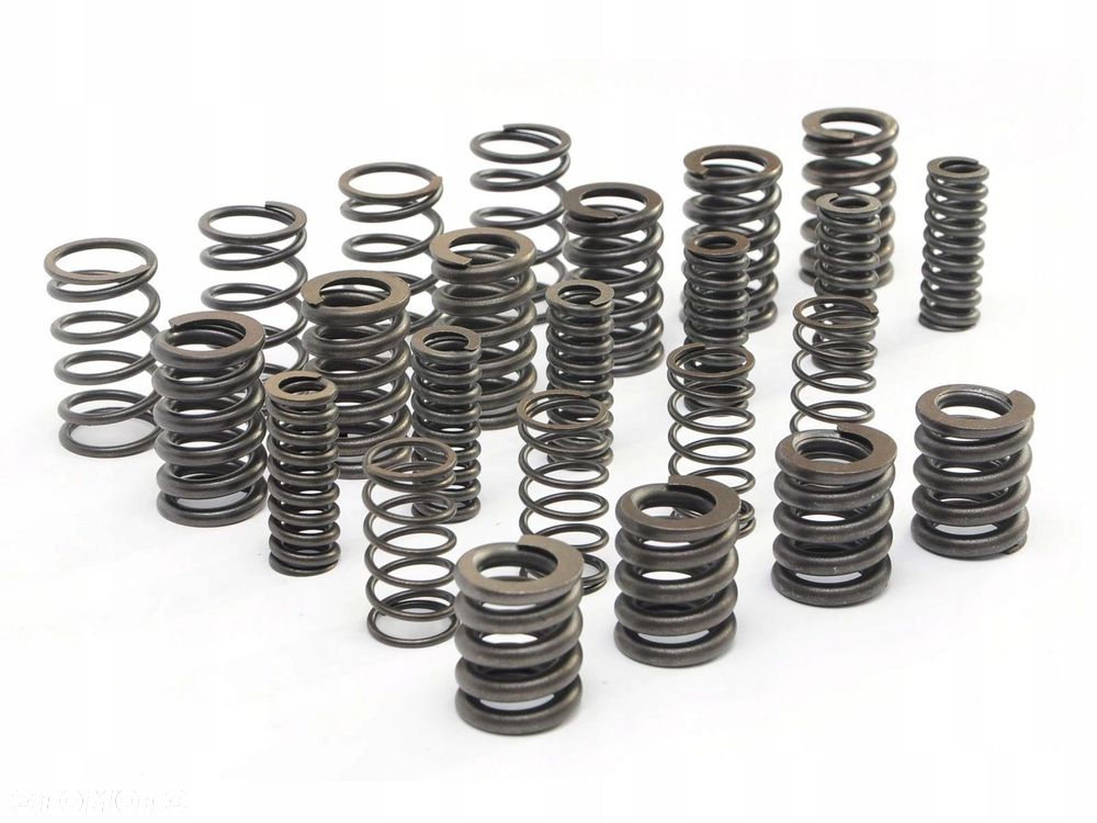 ZESTAW naprawczy SPRĘŻYNY TŁUMIKA DRGAŃ MPS6 6DCT450 - 1