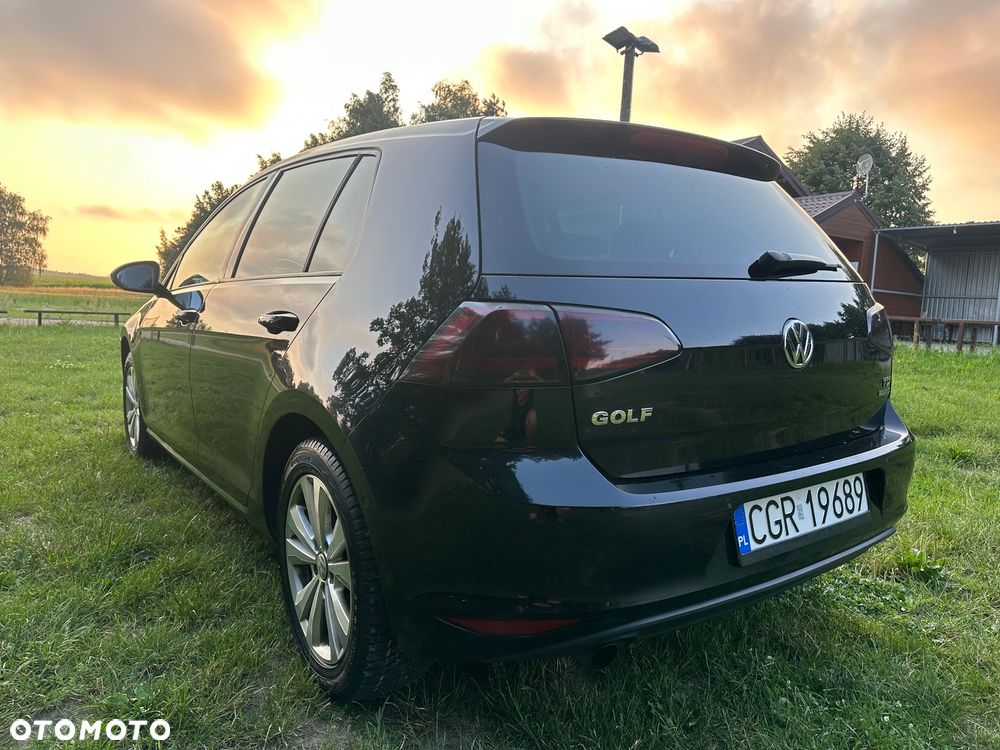 Volkswagen Golf - 12