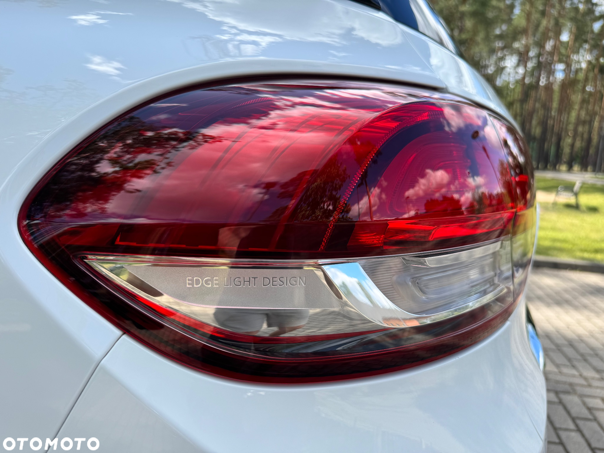 Renault Scenic - 32