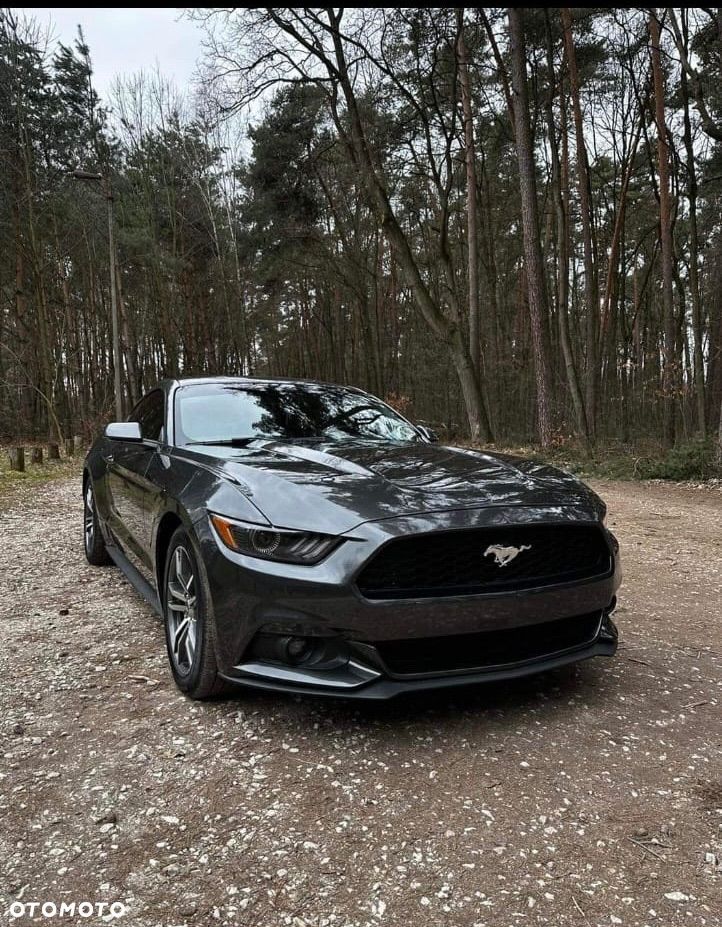 Ford Mustang 2.3 EcoBoost - 2