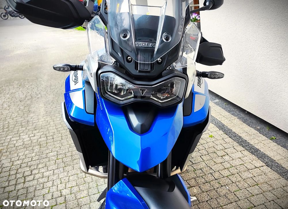 Triumph Tiger - 13