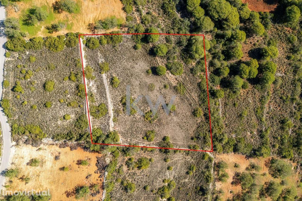 Terreno rustico de 3000m2, com vista para o mar e serra nos Caliços - - Grande imagem: 2/17