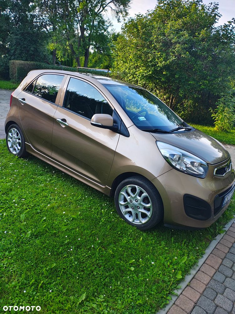 Kia Picanto 1.2 Fifa World Cup Edition - 2