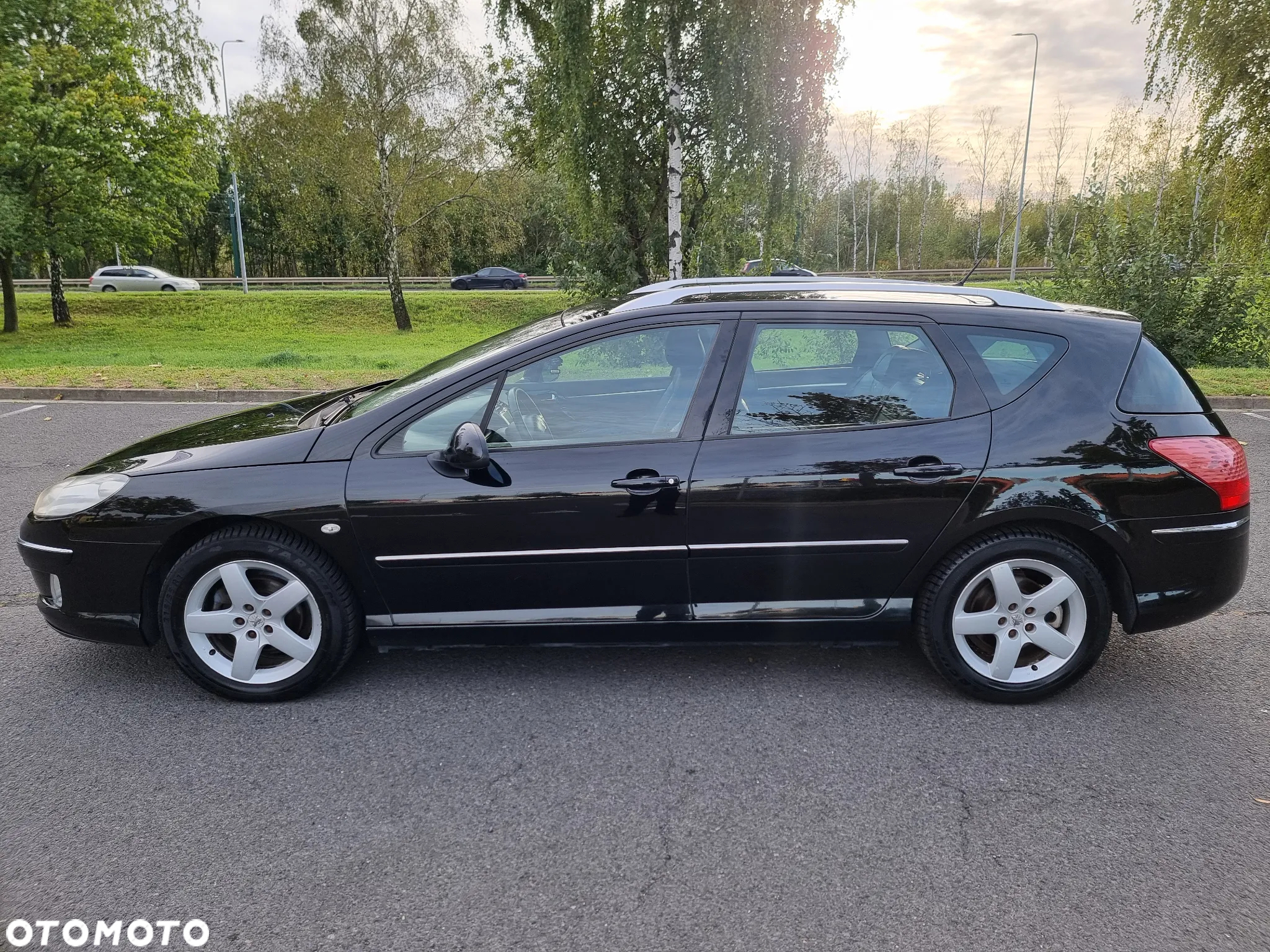 Peugeot 407 - 15