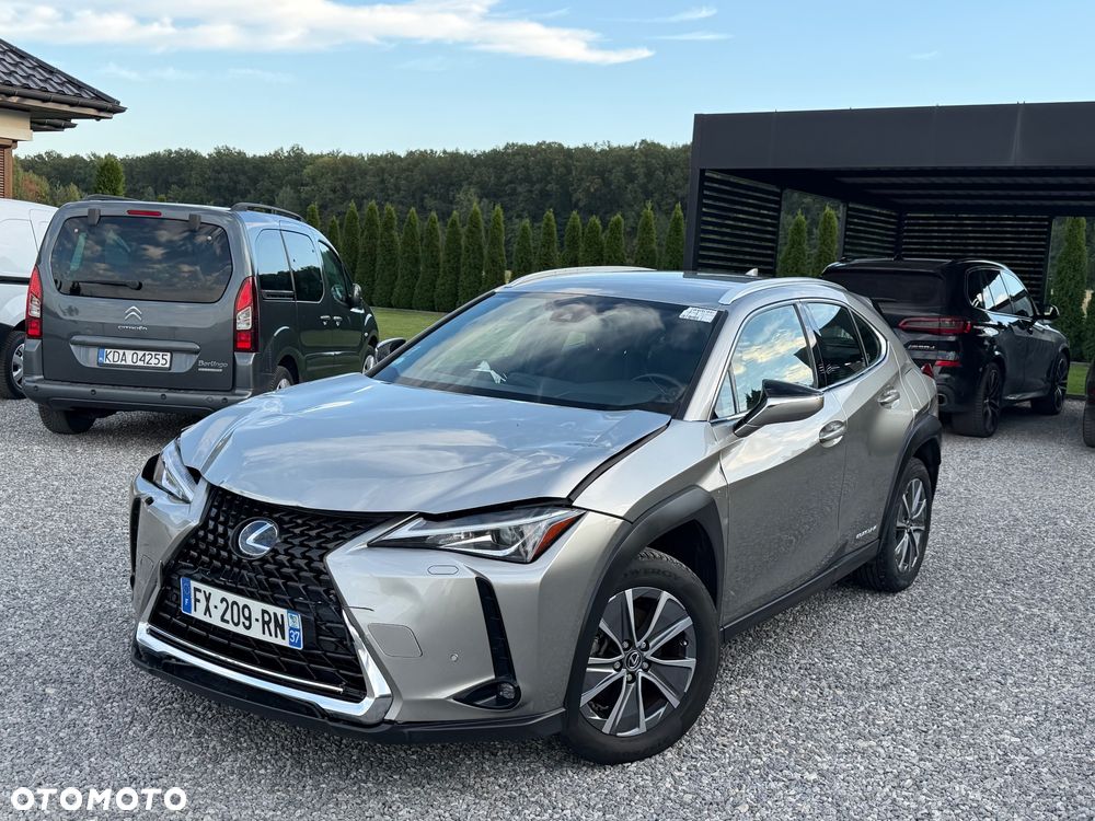 Lexus UX 300e Luxury Line - 9