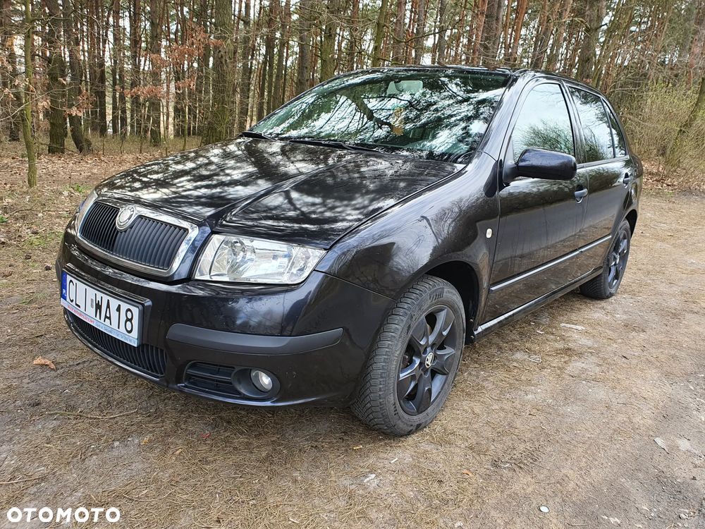 Skoda Fabia 1.9 TDI Extra - 13