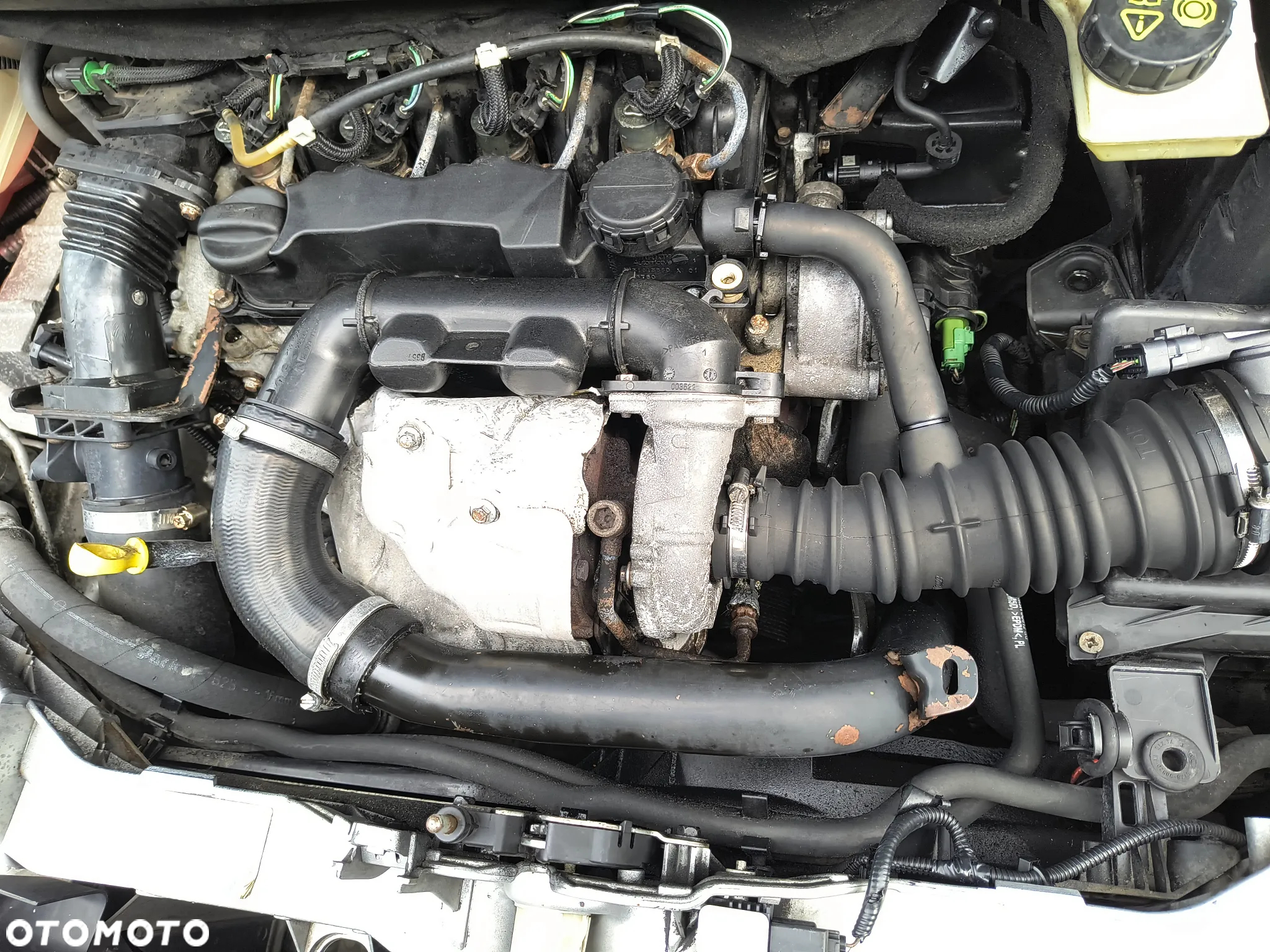 Ford Focus C-Max - 6
