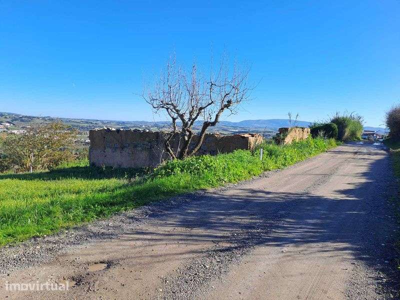 Ruínas para reconstrução com vista panorâmica - Roliça, Bombarral - Grande imagem: 3/12