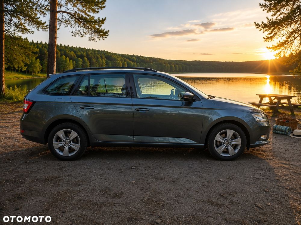 Skoda Fabia 1.4 TDI Ambition - 4