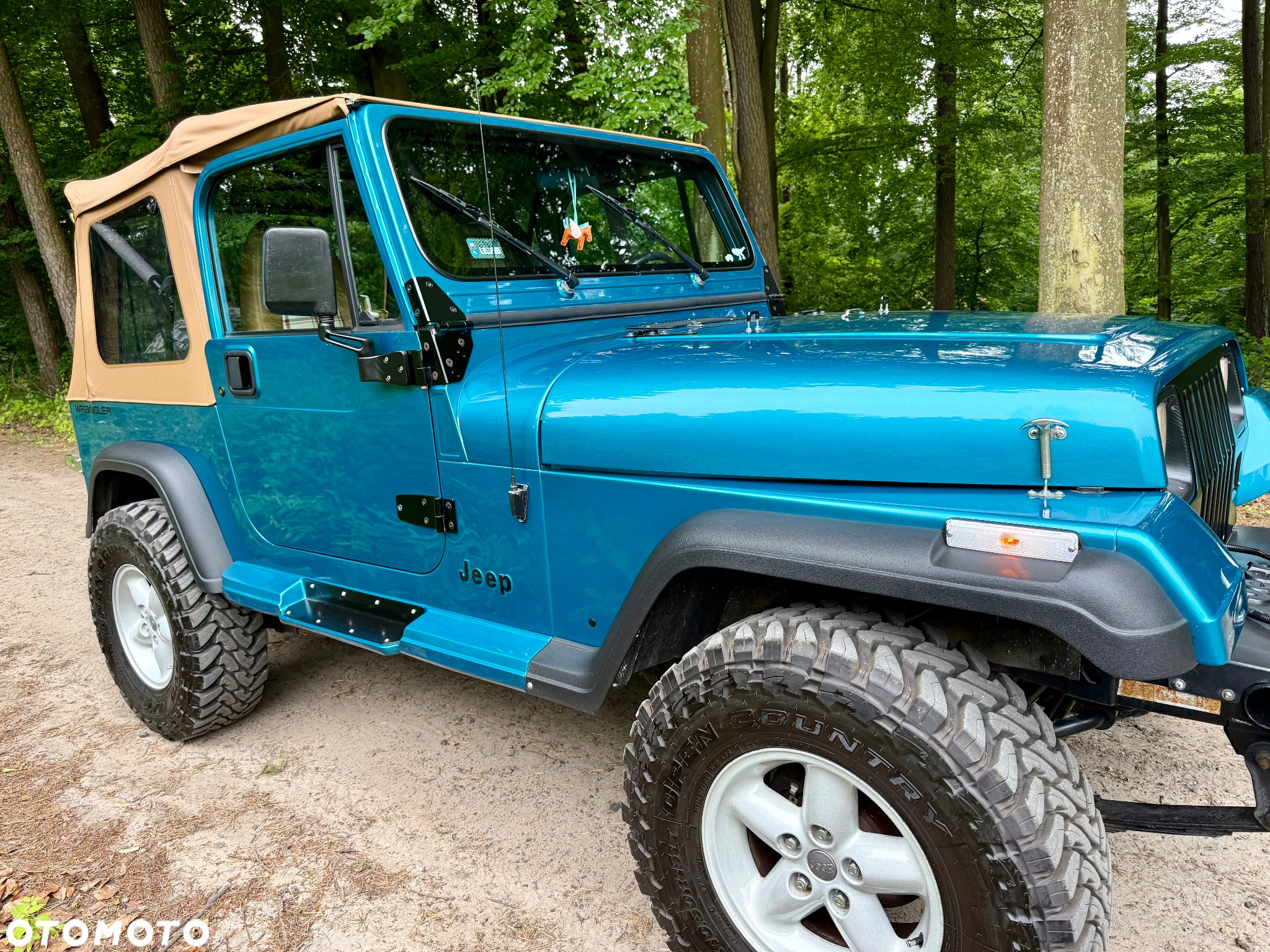 Jeep Wrangler 4.0 - 16