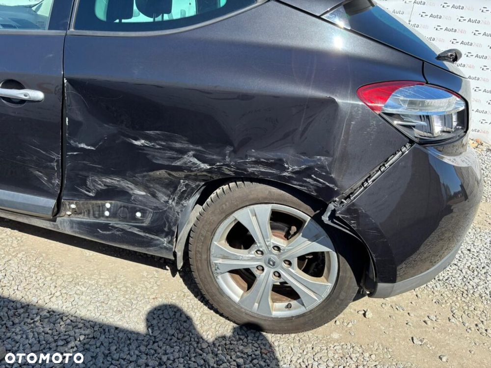 Renault Megane 2.0 16V TCE Dynamique - 18