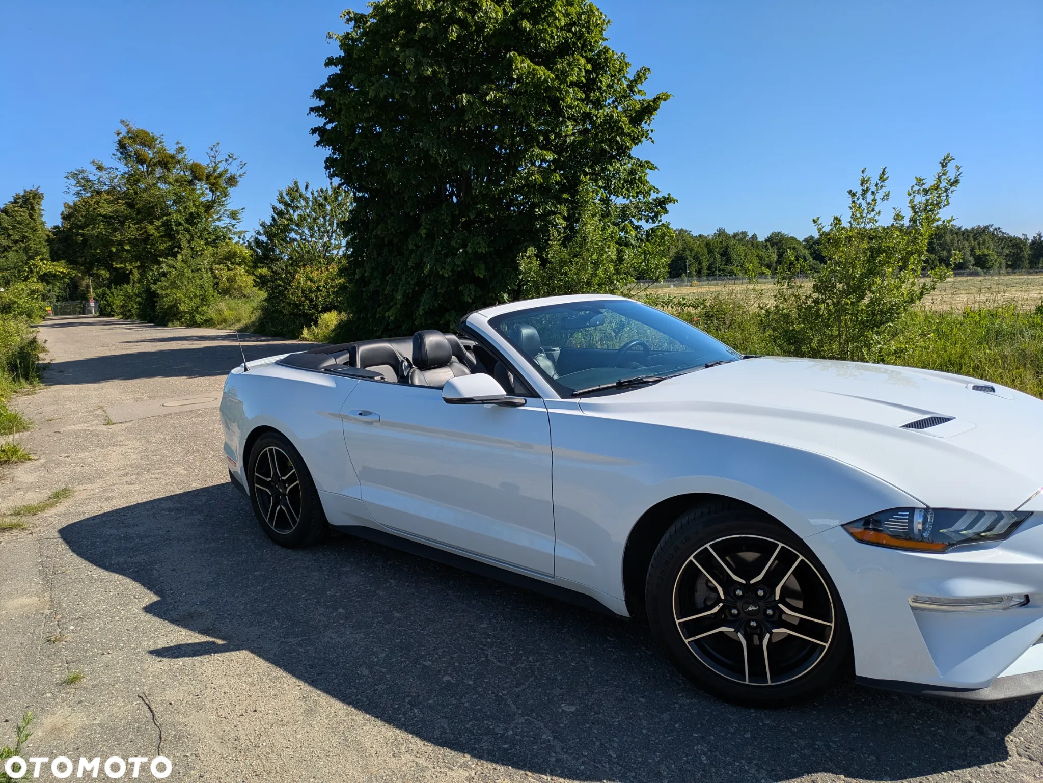 Ford Mustang 2.3 EcoBoost - 41