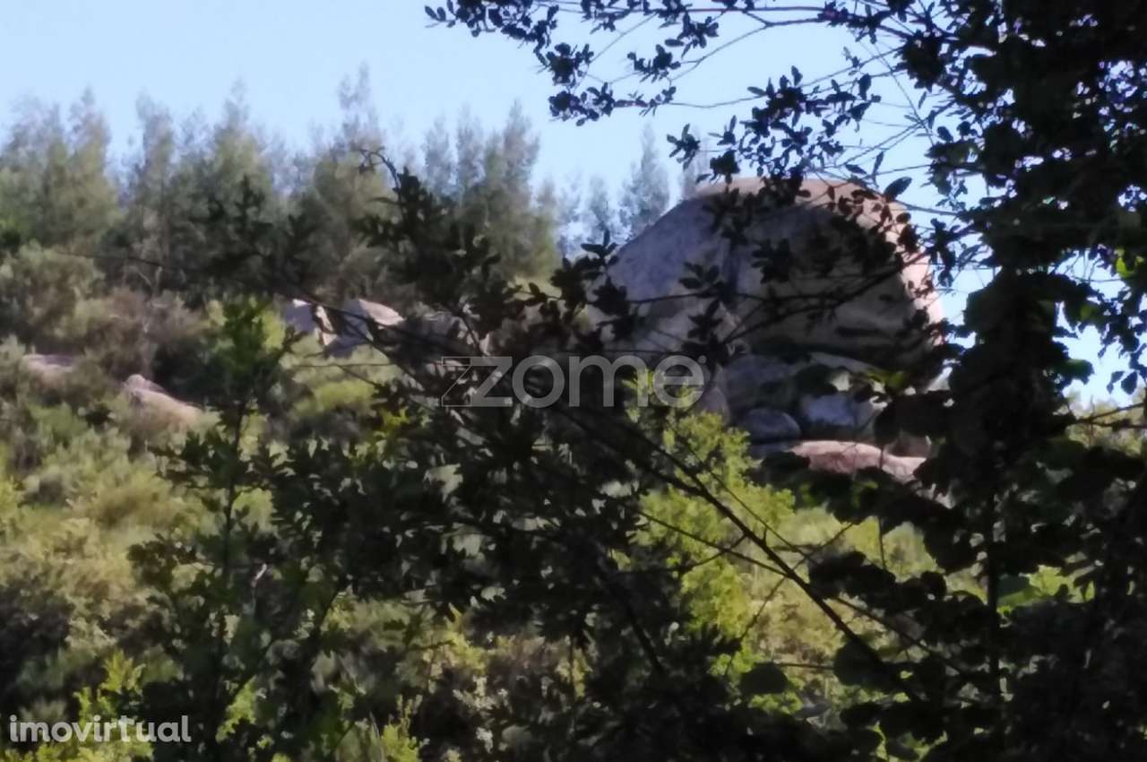 Terreno 1383m2 em Sameice e Santa Eulália - Seia - Grande imagem: 3/18