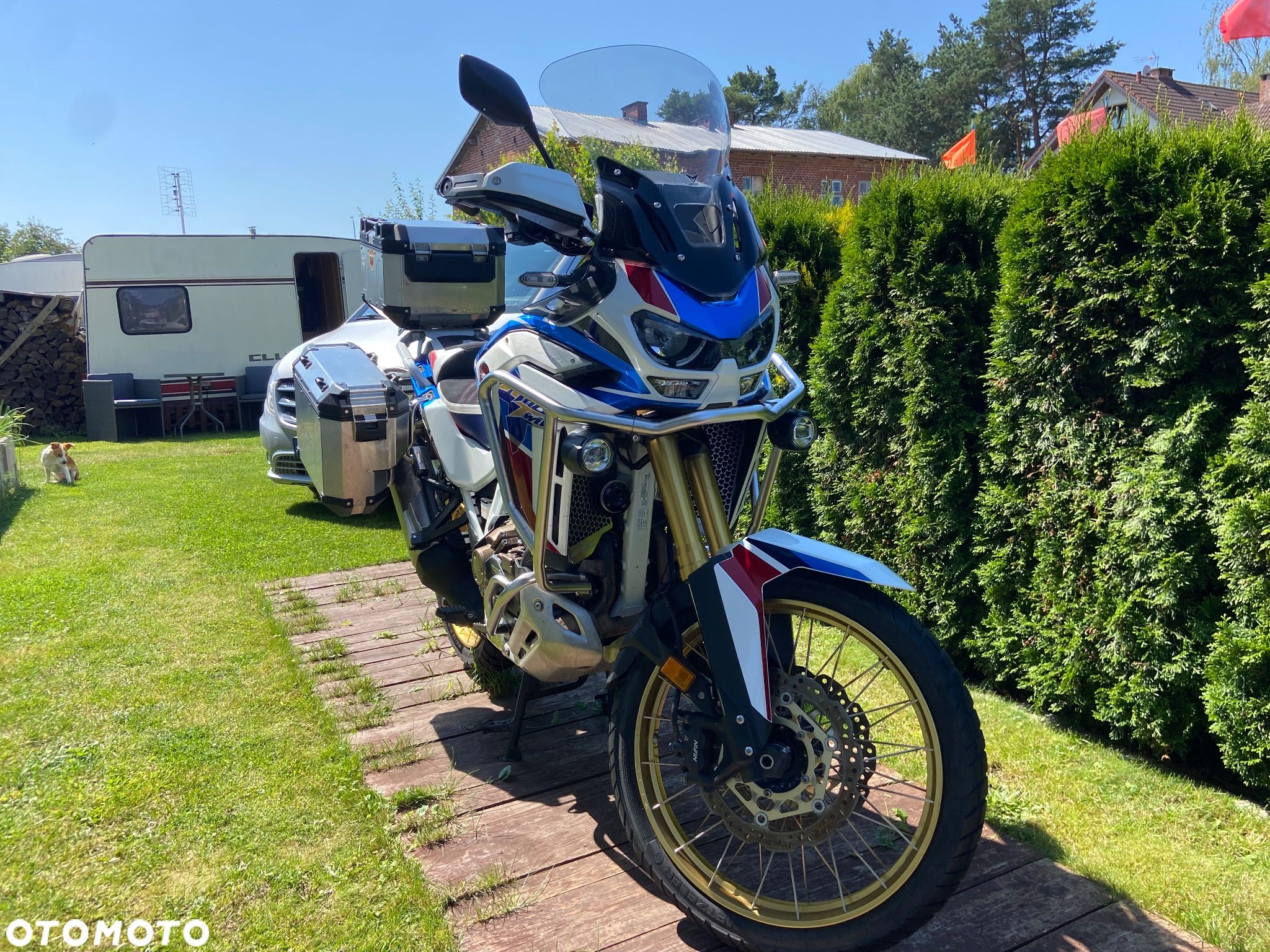 Honda CRF