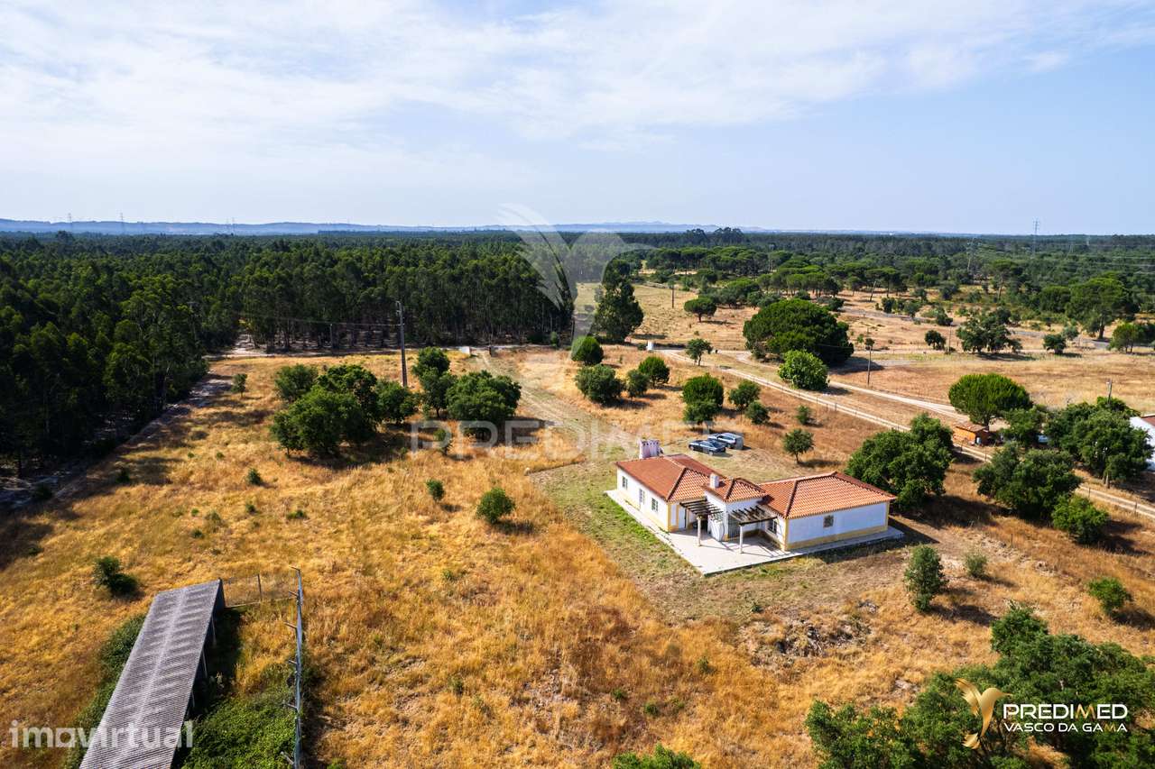 Herdade com 39500 m2 e Habitação com 150 m2 de área coberta em ótim... - Grande imagem: 4/36