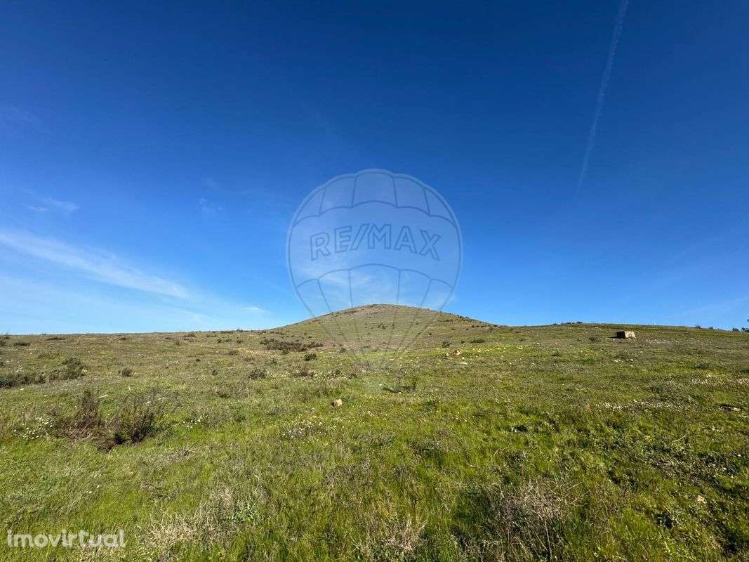 Quinta T7 para venda - Grande imagem: 5/48