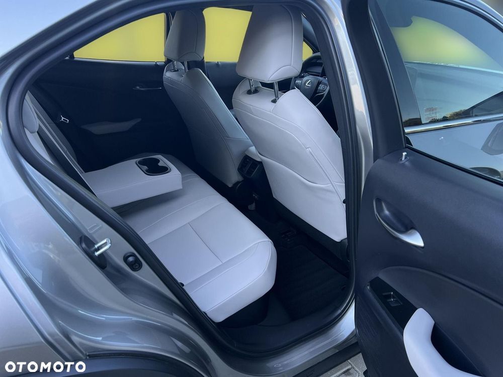 Lexus UX 300h F Sport Design - 19