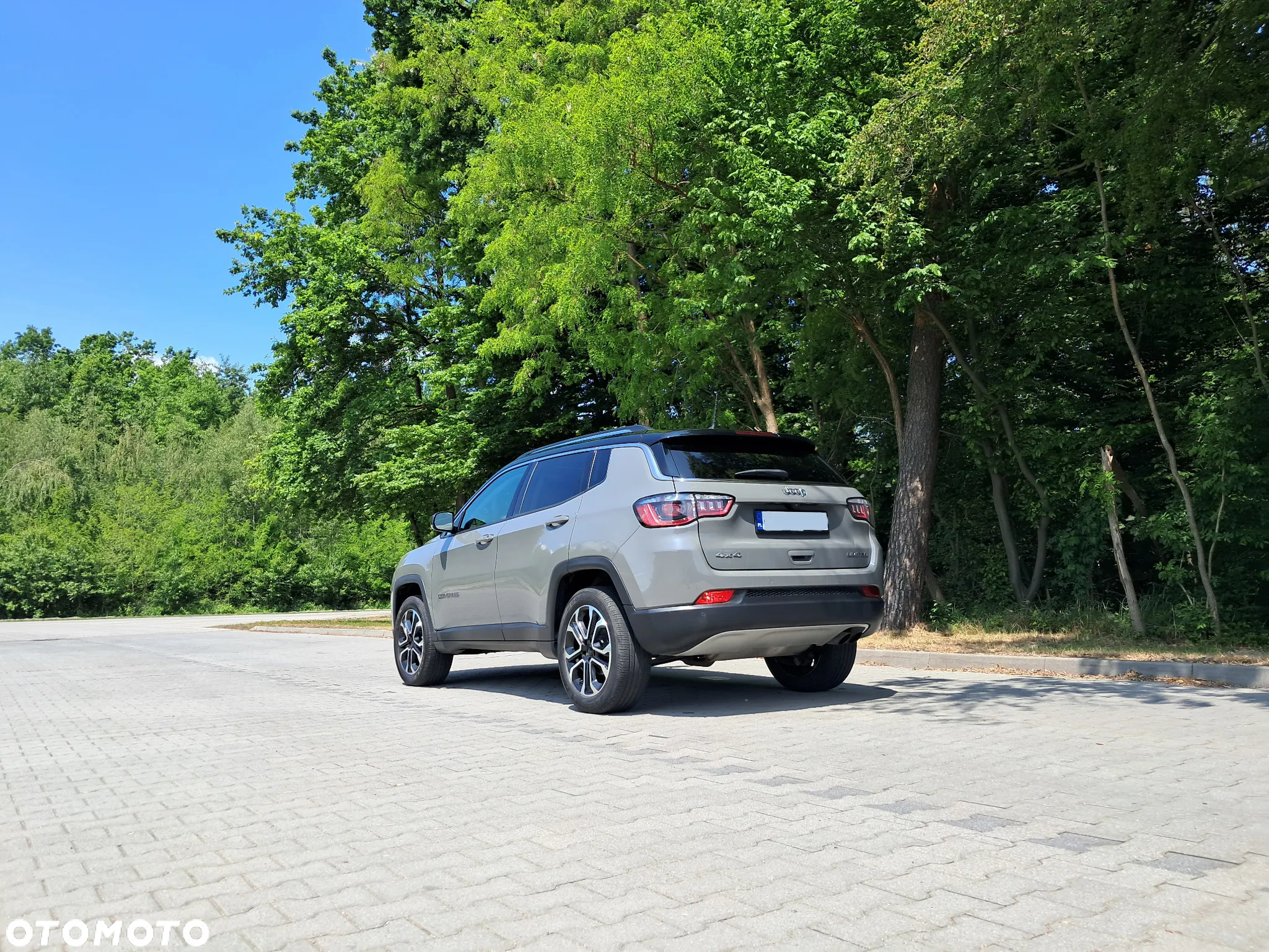 Jeep Compass - 19