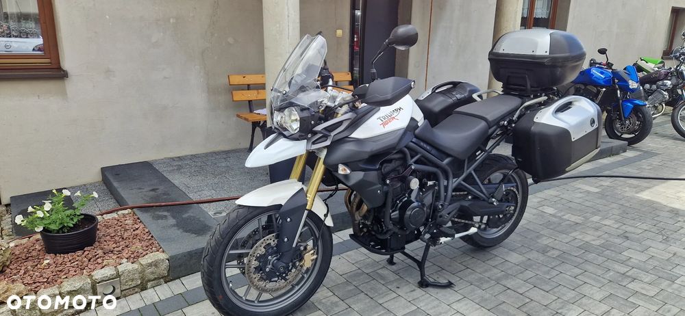 Triumph Tiger - 1