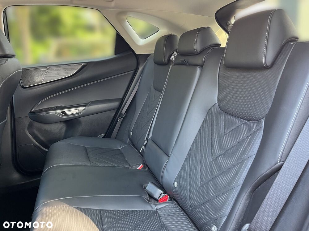 Lexus NX - 6