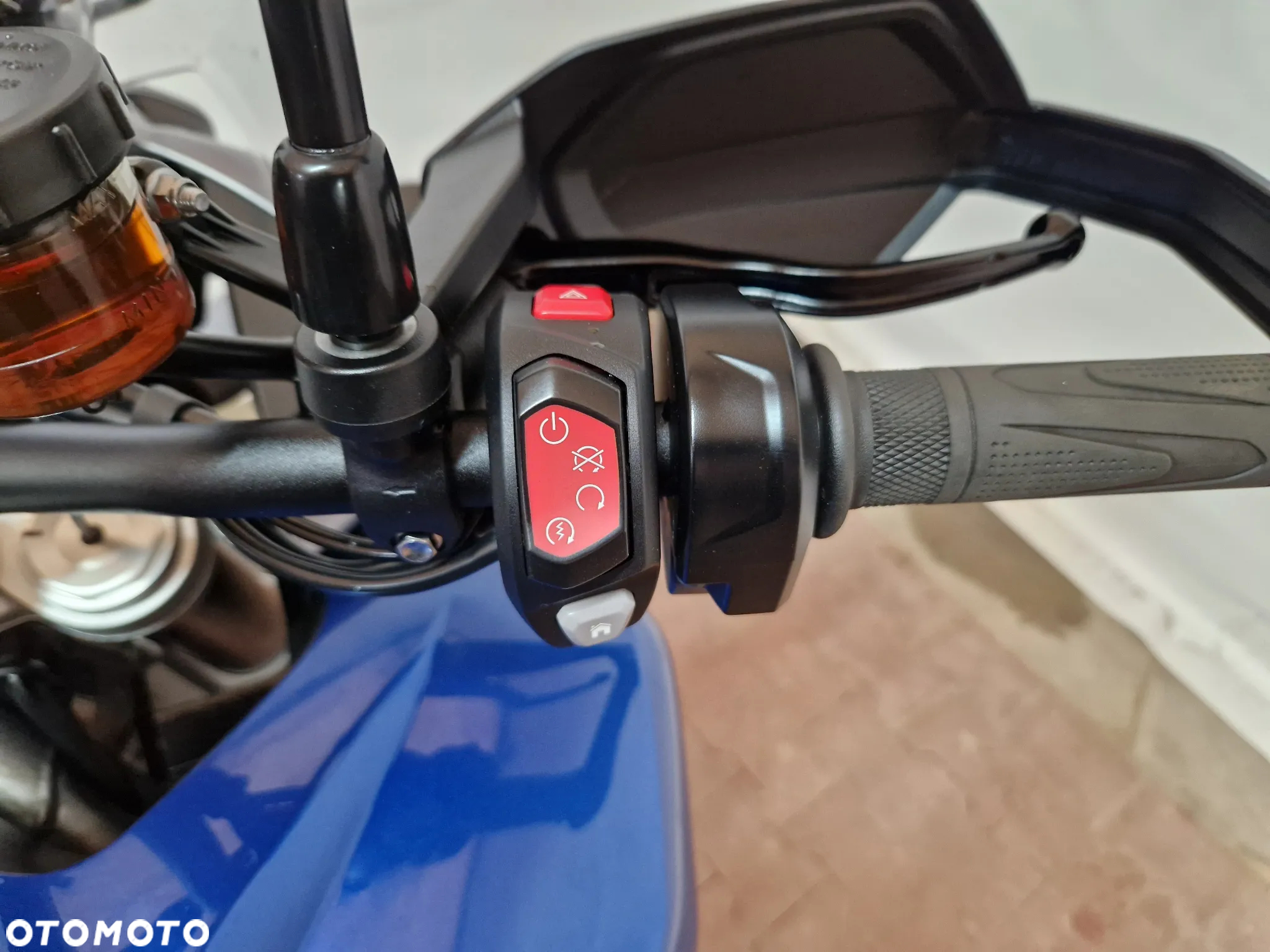 Triumph Tiger - 38