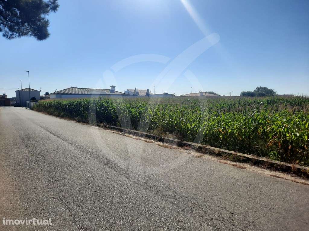 Terreno c/ 6.000 m2 - Estela Póvoa de Varzim - Grande imagem: 2/5