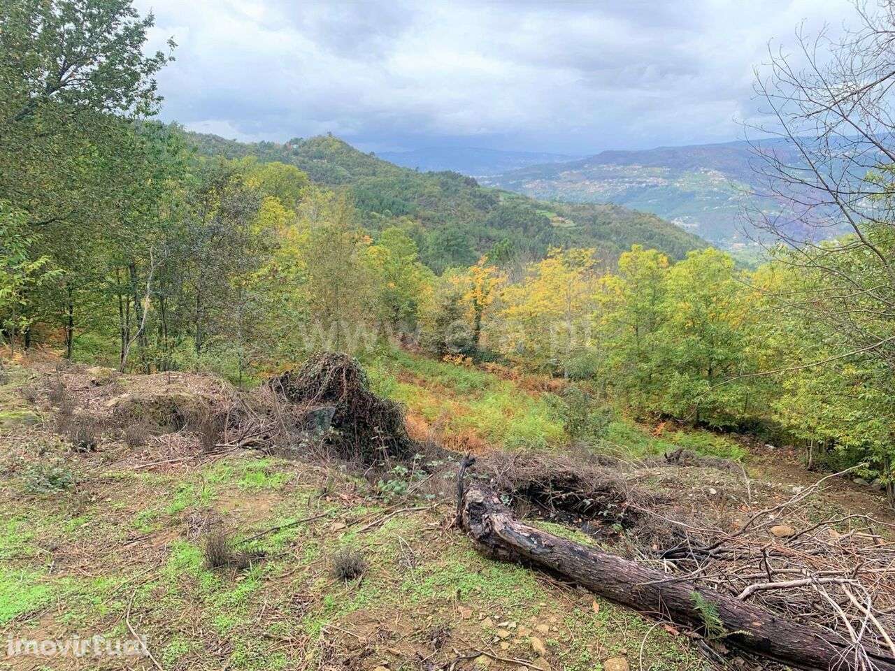 Terreno / Resende, Anreade e São Romão de Aregos - Grande imagem: 3/10