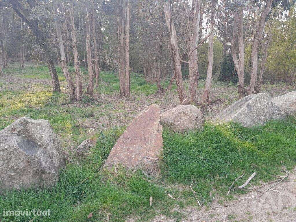 Terreno Agrícola em Requião - Grande imagem: 5/5