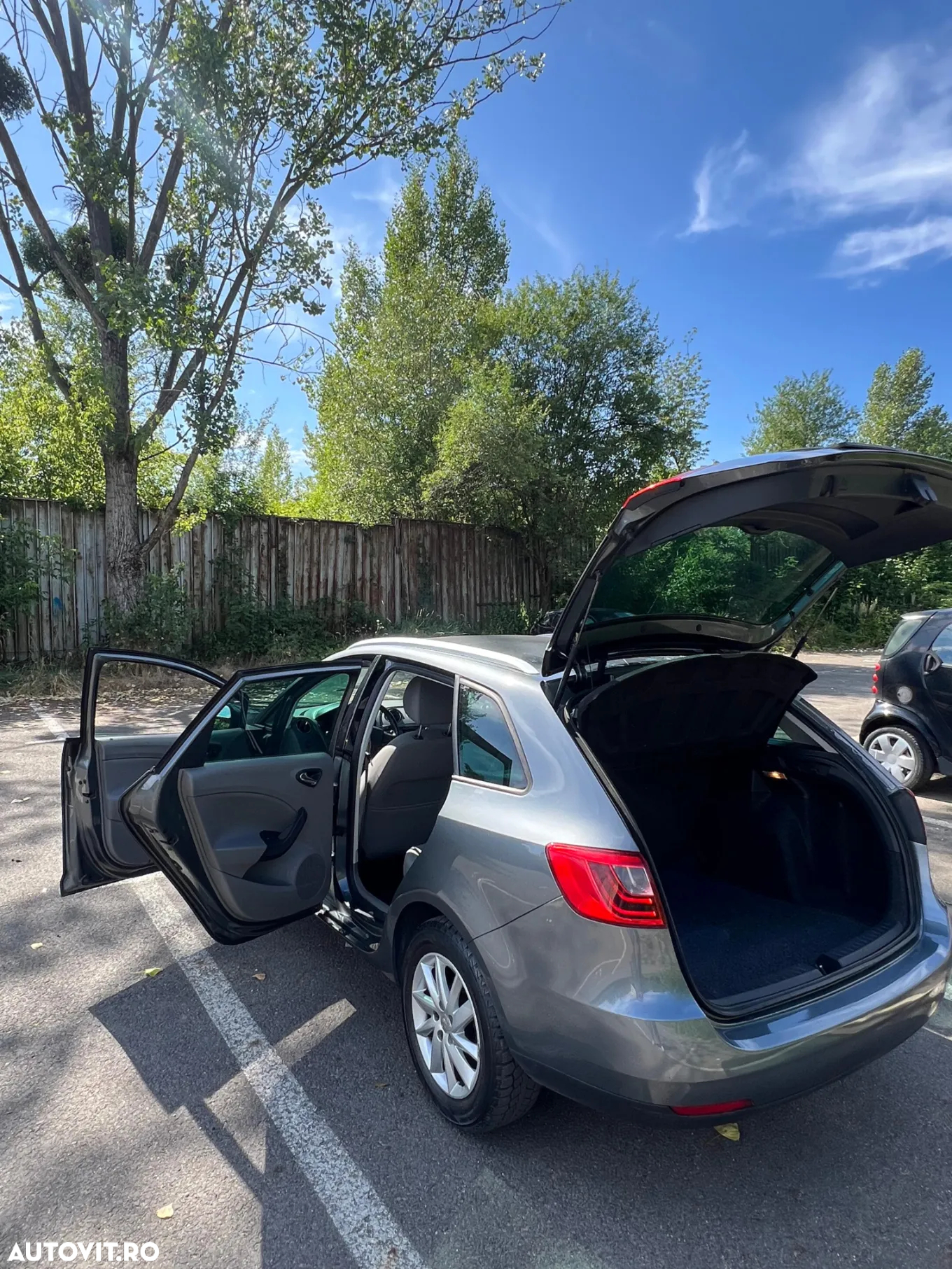 Seat Ibiza - 22