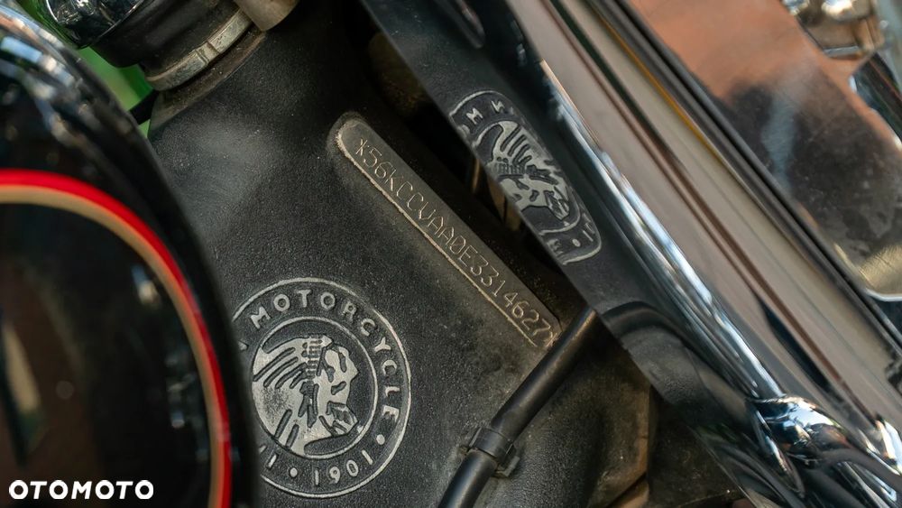 Indian Chief - 7