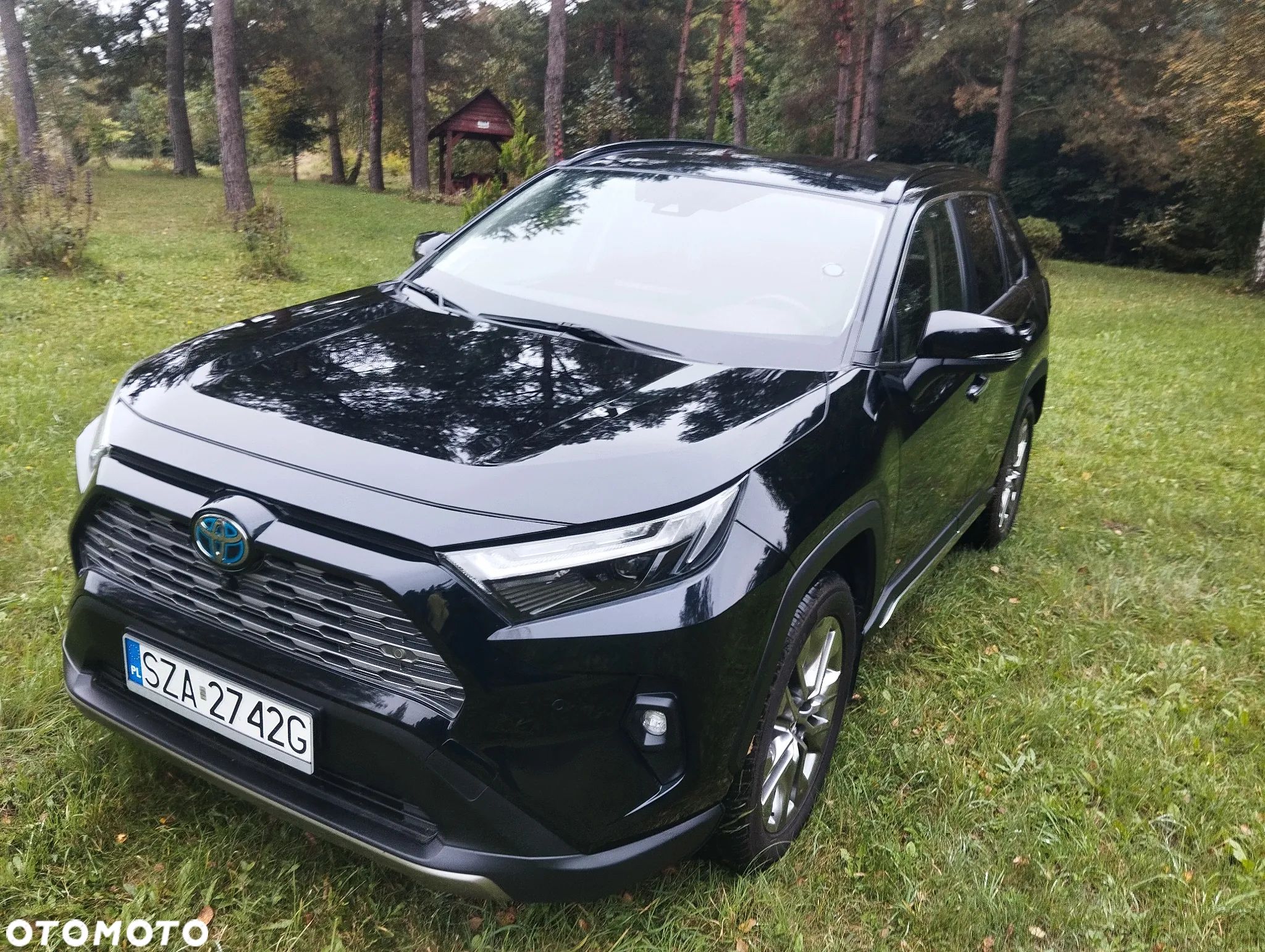 Toyota RAV4 - 1