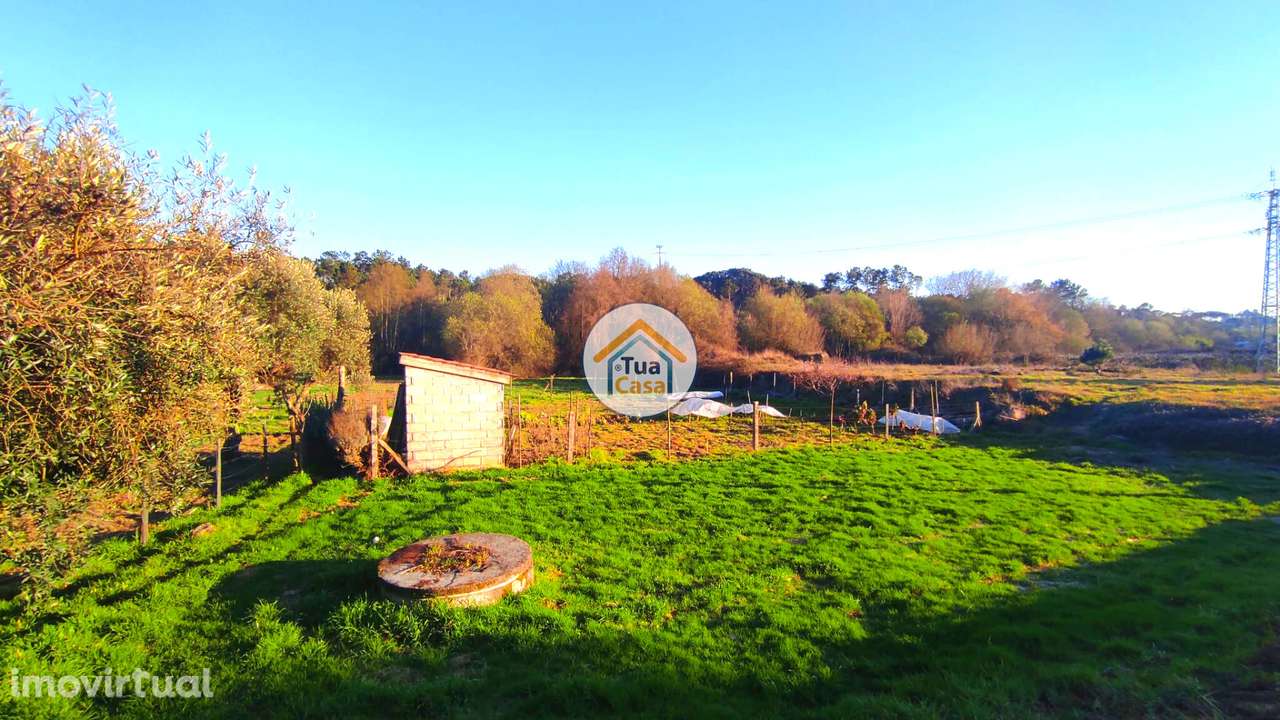 Terreno com Viabilidade de Construção em Viseu - Grande imagem: 5/15