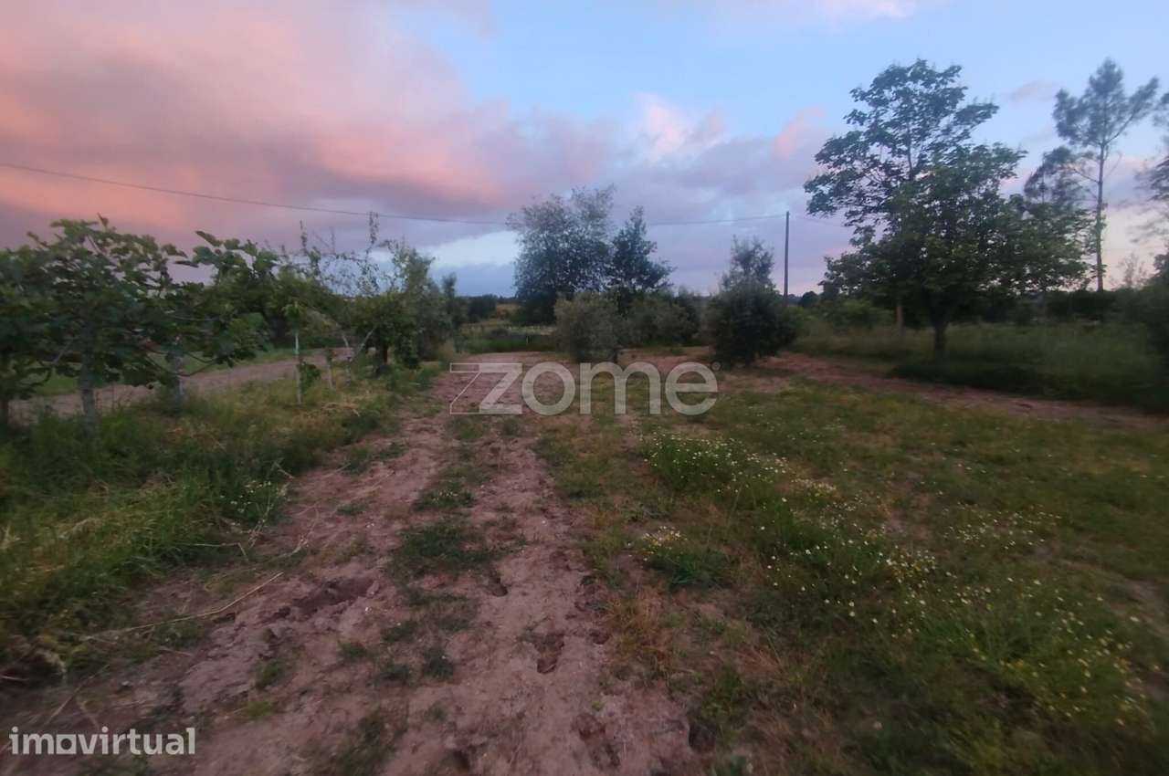 Terreno a 5 minutos do centro de Mangualde o seu Sonho - Grande imagem: 5/18
