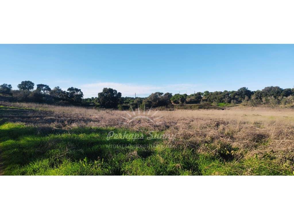 TERRENO RÚSTICO PARA VENDA - UMA OPORTUNIDADE NA SERRA DE GRÂNDOLA - Grande imagem: 2/21