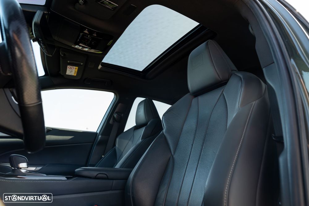 Lexus NX 450h+ F Sport - 18