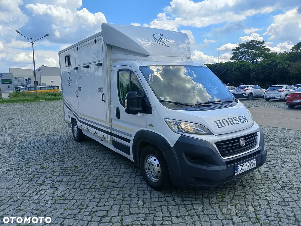 Fiat Ducato Koniowóz - 1