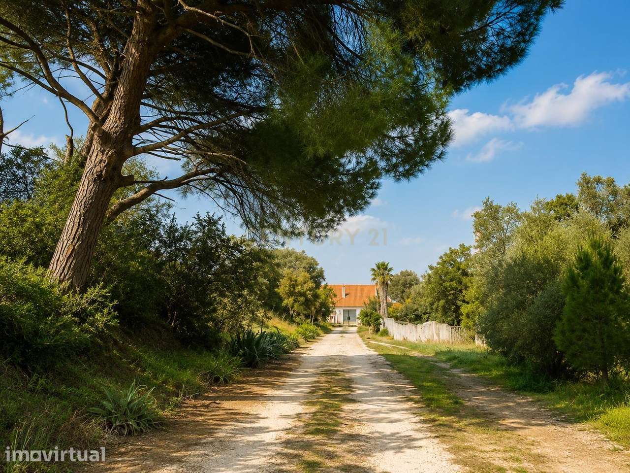 Quinta de Santa Sofia — 15,5 Hectares - Grande imagem: 3/19