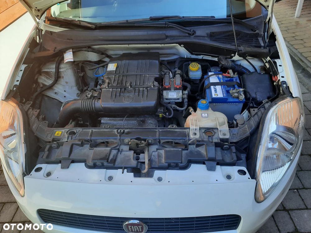 Fiat Punto - 5