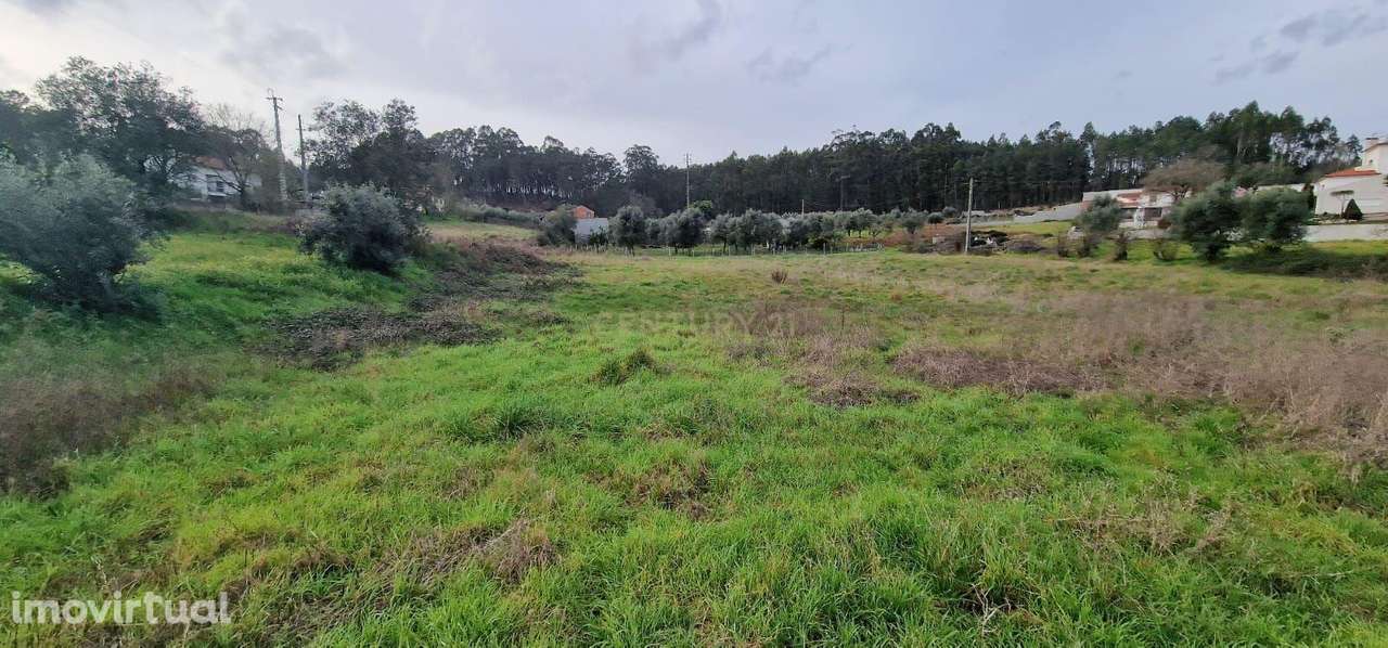 Terreno para construção á venda - Albergaria dos doze - Grande imagem: 3/20
