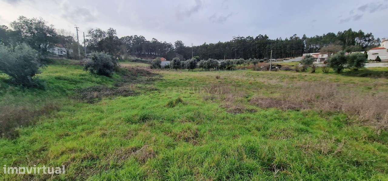 Terreno para construção á venda - Albergaria dos doze - Grande imagem: 3/20