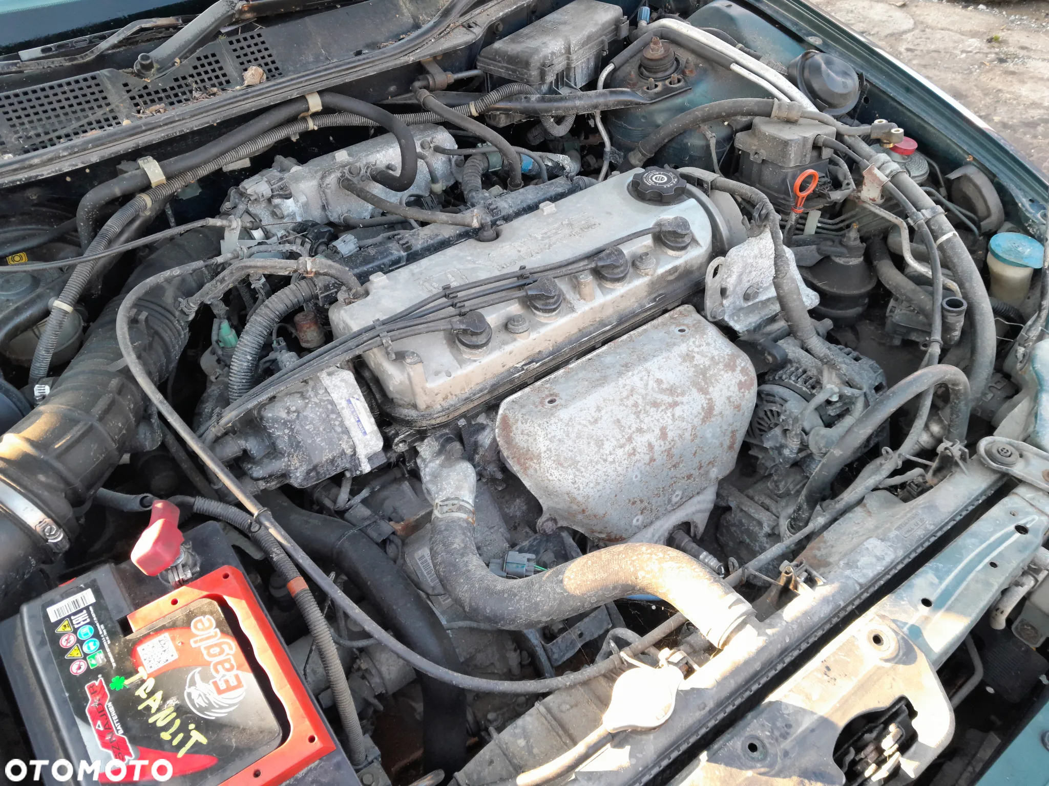 Silnik HONDA Accord VI 97-02r. 2.0 V-TEC F20B6 - 2