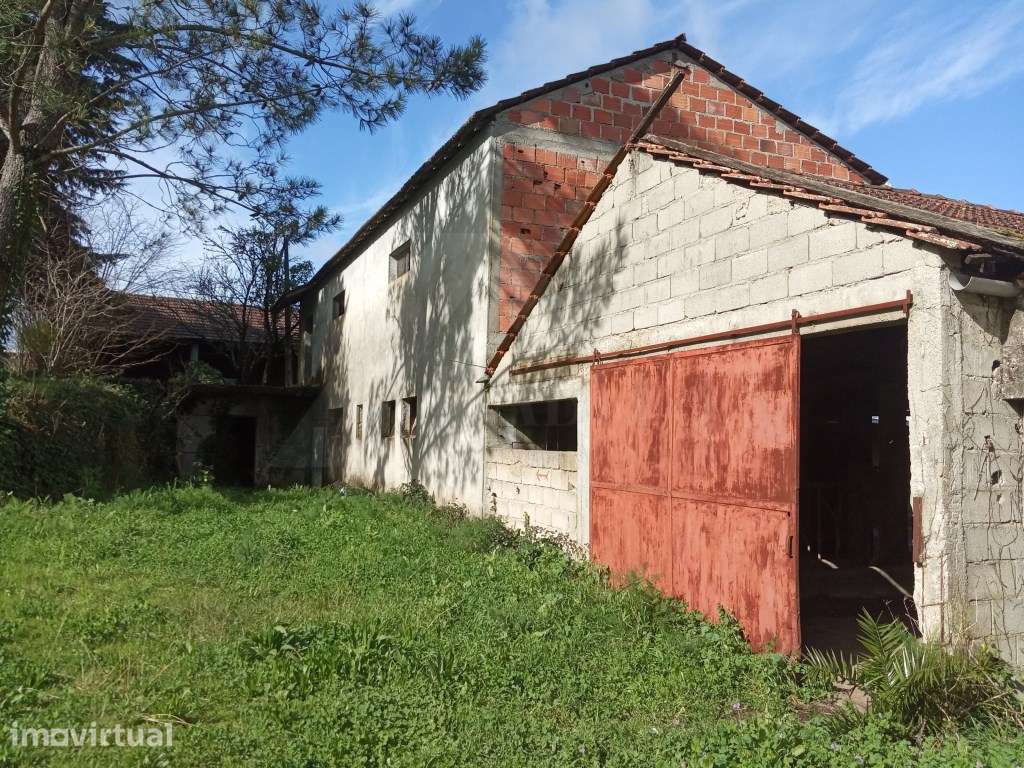 Terreno para exploração agrícola em Lanheses - Grande imagem: 2/8