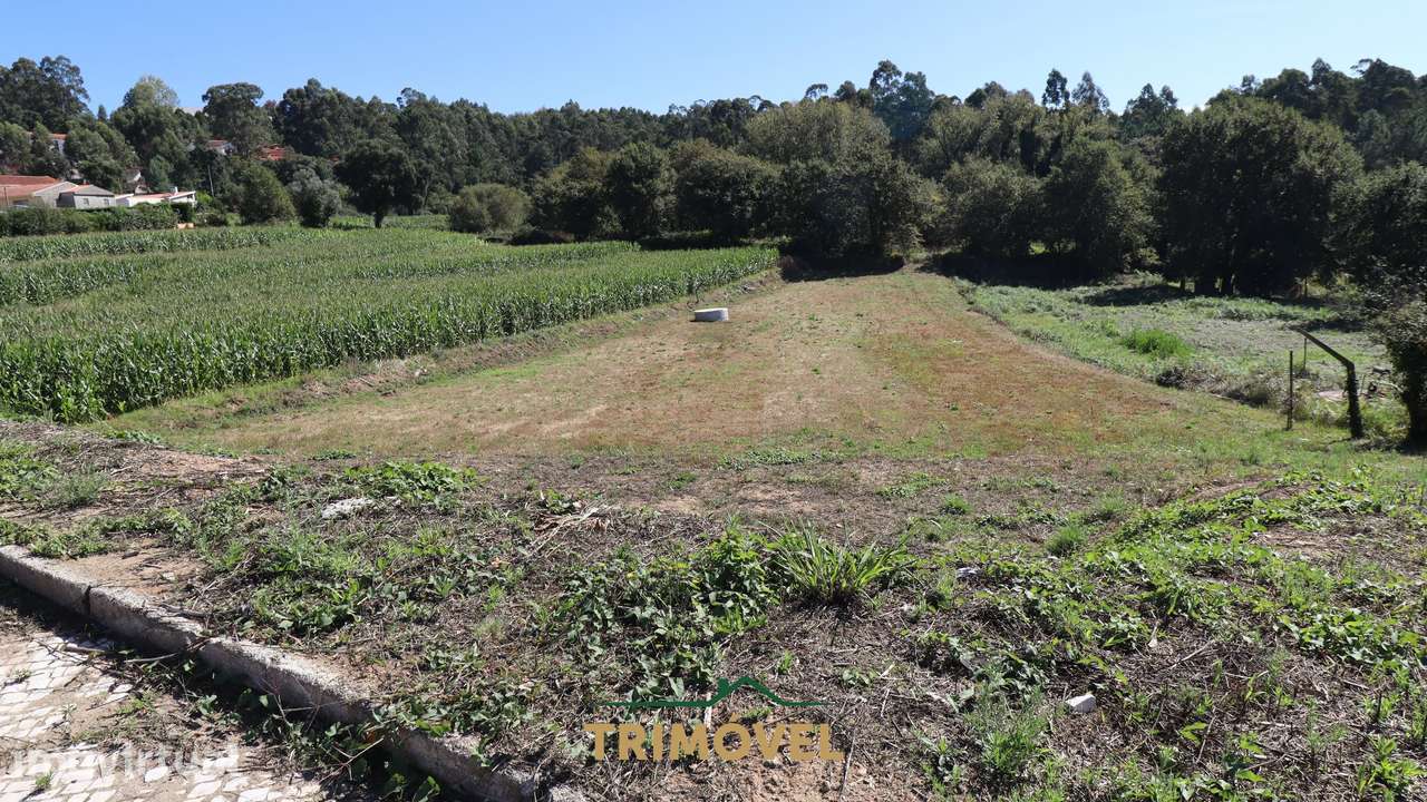Terreno para Construção em Oliveira de Azeméis - Grande imagem: 2/4