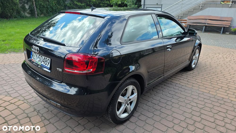 Audi A3 3-drzwiowe 1.6 TDI DPF Attraction - 19