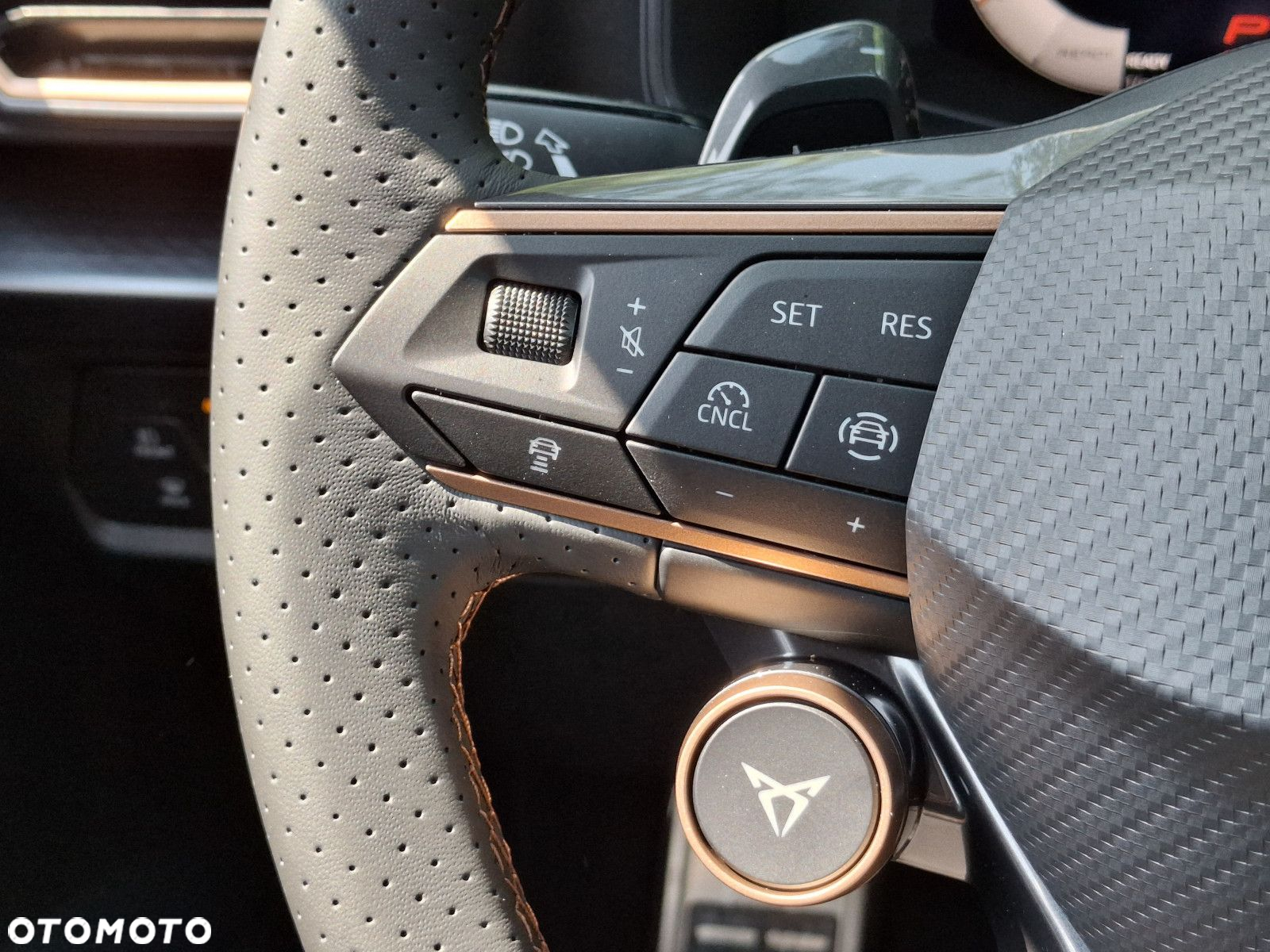 Cupra Formentor - 20